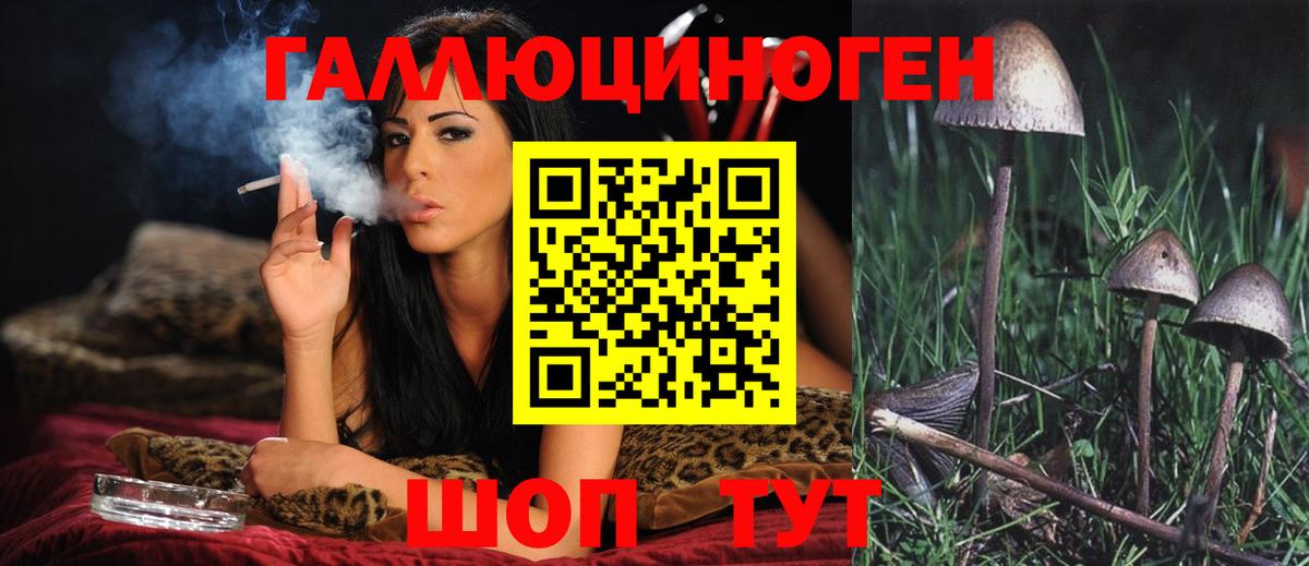 Галлюциногенные грибы Psilocybe Алатырь