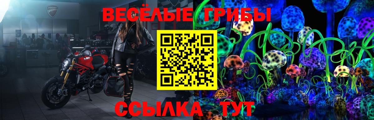 Алатырь  Галлюциногенные грибы GOLDEN TEACHER  магазин  наркотиков  Вход с VPN 